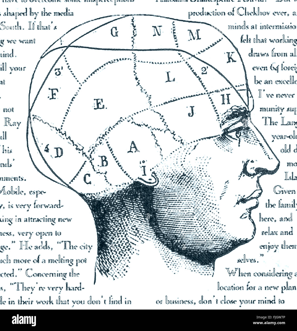 Áreas de antigüedades cerebro dibujo ilustración médica primitiva de la frenología regiones Foto de stock
