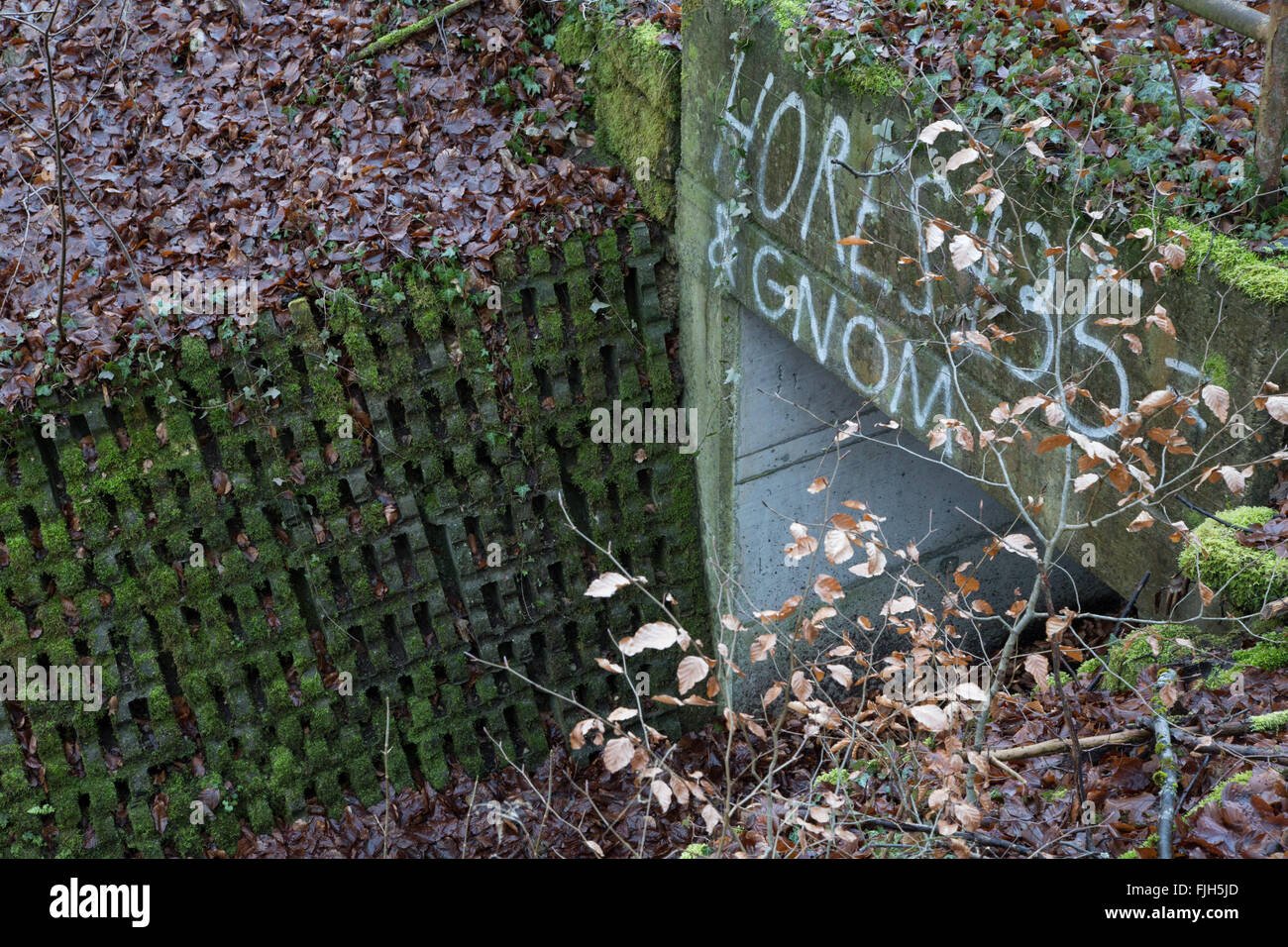 Parte de la estructura de control de inundaciones en un bosque, cubierto de musgo, despeinada, fuera de uso, construido en hormigón, con graffiti Foto de stock