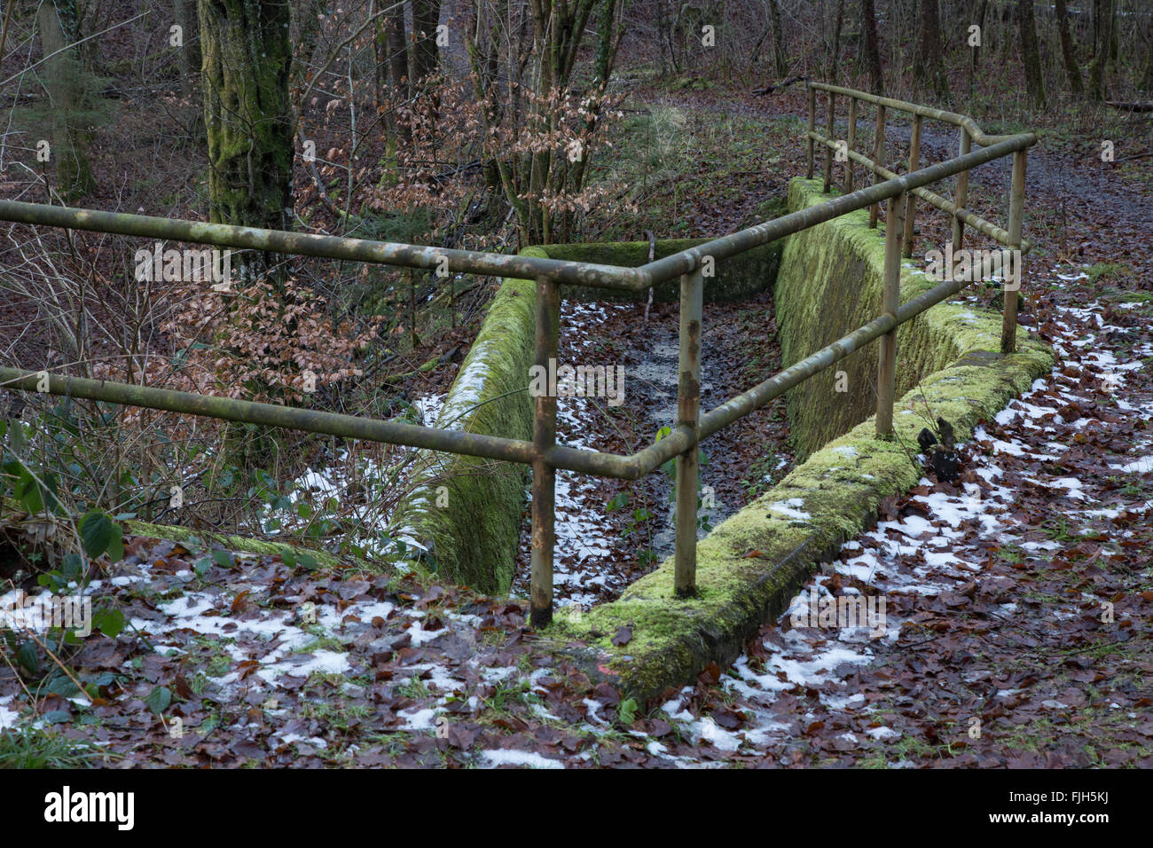 Desbordamiento, parte de la estructura de control de inundaciones en un bosque, cubierto de musgo, despeinada, fuera de uso, construido en hormigón armado Foto de stock