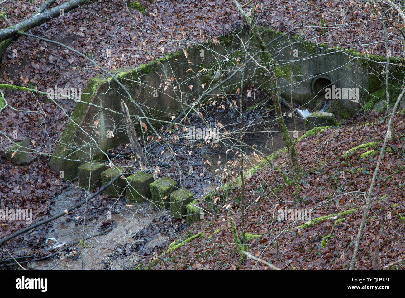 Parte de la estructura de control de inundaciones en un bosque, cubierto de musgo, despeinada, fuera de uso, construido en hormigón armado Foto de stock