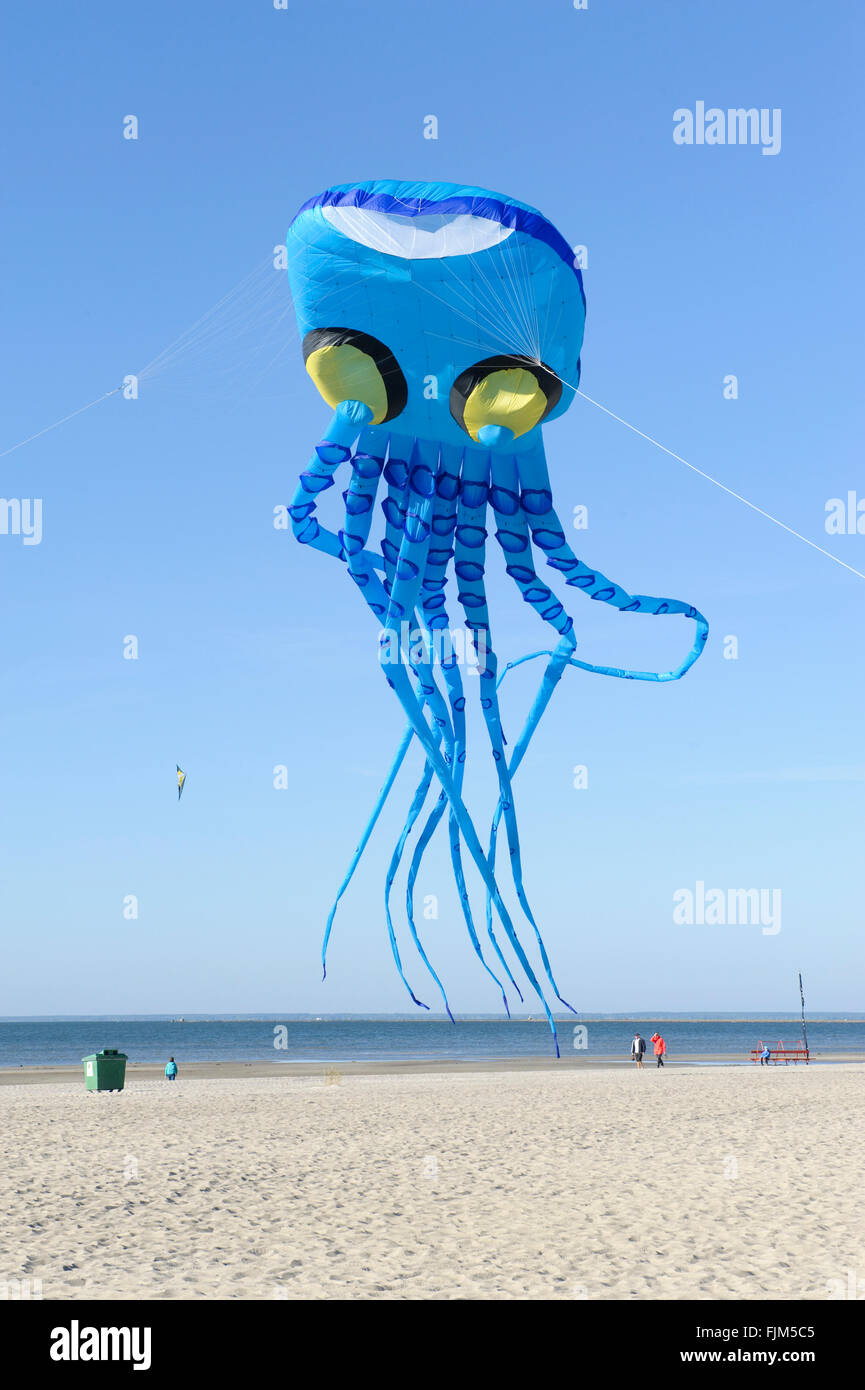 Geografía / viajes, Estonia, Pärnu, playas, cometa en forma de un pulpo, Additional-Rights-Clearance-Info-Not-Available Foto de stock