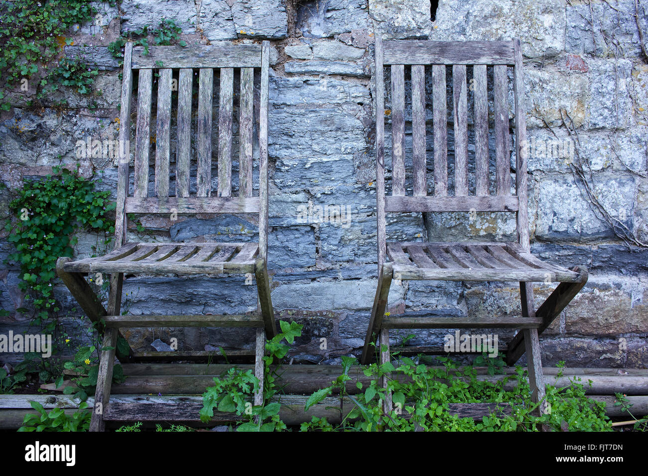 Dos sillas de jardín de madera envejecida contra un muro de piedra con plantas que crecen alrededor de Foto de stock