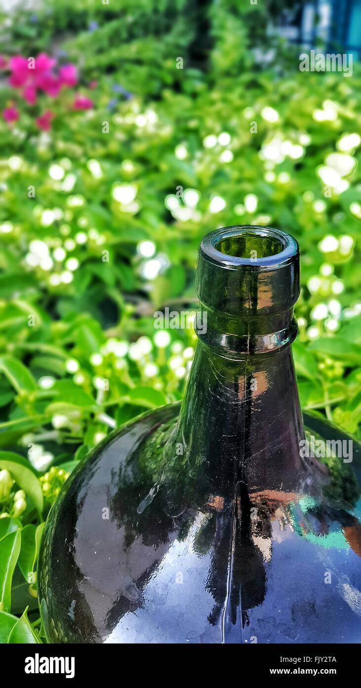 Primer plano de abrir la botella de cristal contra plantas de jardín  Fotografía de stock - Alamy