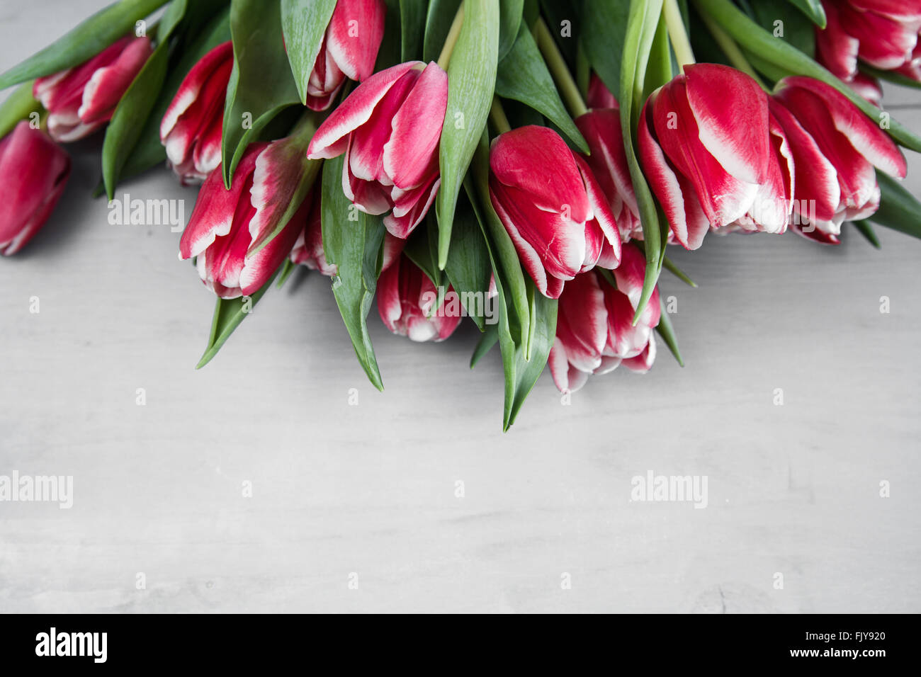 Rosa tulipanes en una mesa de madera Foto de stock