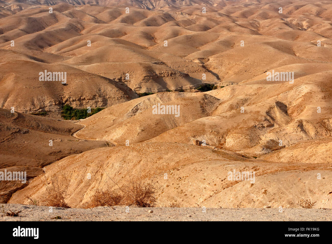 Montañoso paisaje del desierto de Judea, cerca de Jericó, Israel Foto de stock