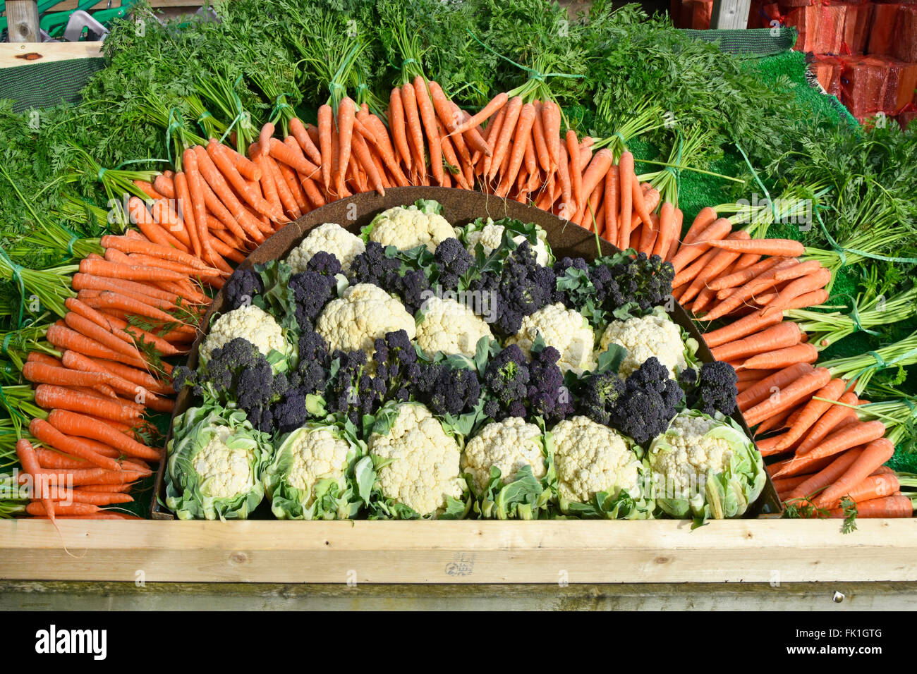 Las zanahorias coliflor, brócoli y organizarse como un día cinco coloridos vegetales display promocional en el carro fuera de la entrada a la tienda granja Essex, Inglaterra Foto de stock