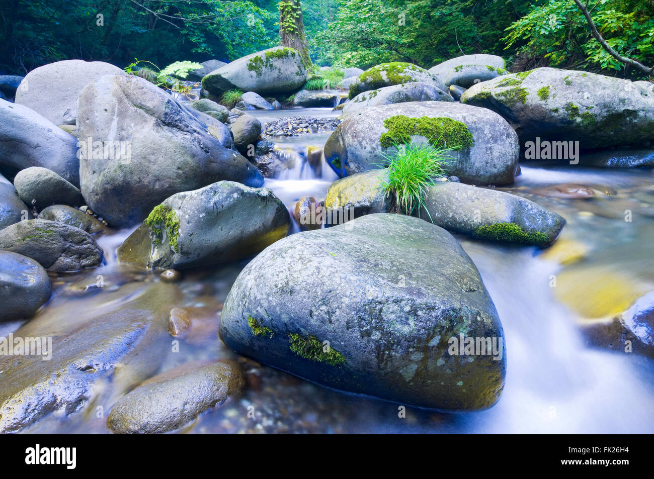 Detalle de la imagen del paisaje de rocas y piedras en un arroyo de montaña en el norte de Akita, Japón. Foto de stock
