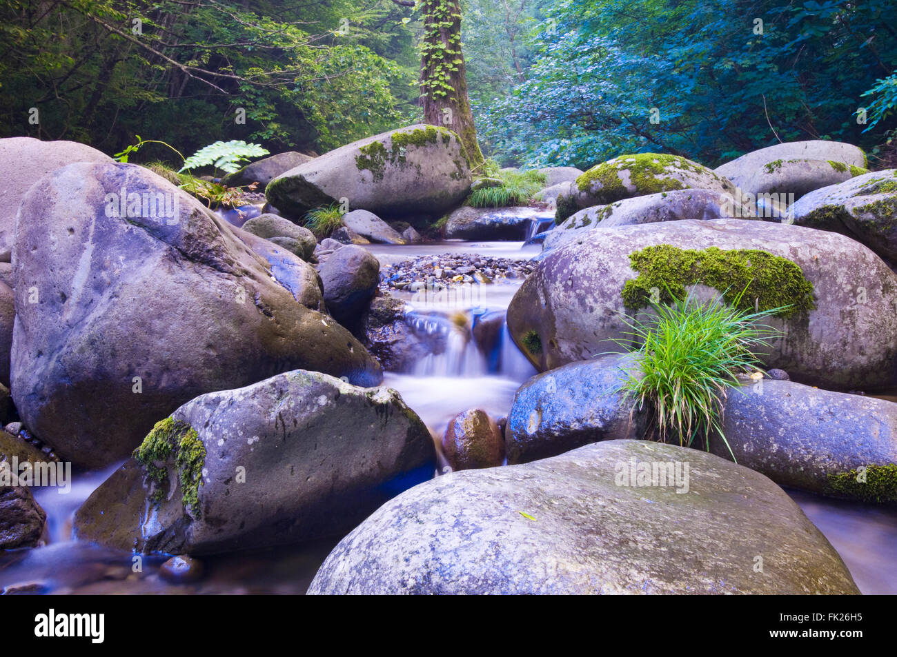 Detalle de la imagen del paisaje de rocas y piedras en un arroyo de montaña en el norte de Akita, Japón. Foto de stock
