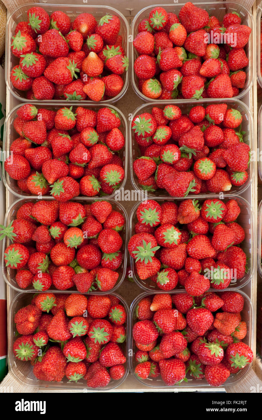 Cajas con fresas rojas frescas full frame Foto de stock