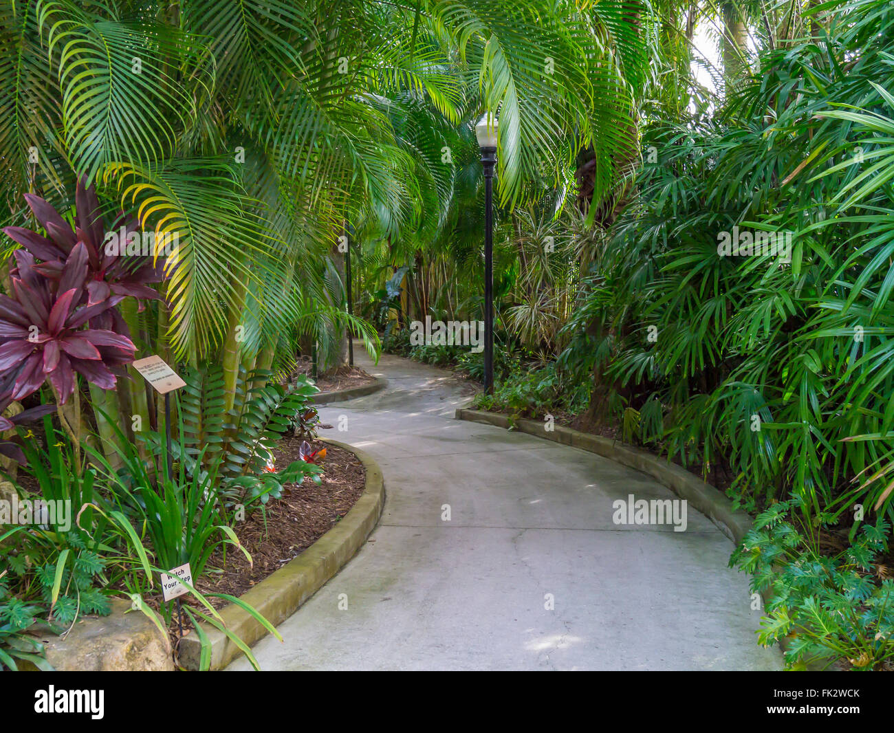 Ruta en los Sunken Gardens en San Petersburgo, Florida Foto de stock