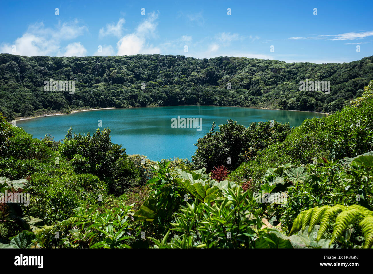 Lago botos fotografías e imágenes de alta resolución - Alamy