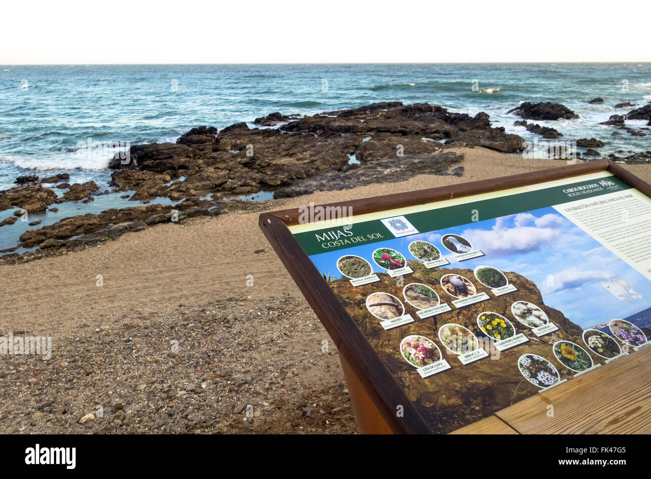 Firmar para los amantes de la naturaleza, mostrando las plantas que crecen a lo largo de la costa mediterránea en La Cala, Málaga, España. Foto de stock