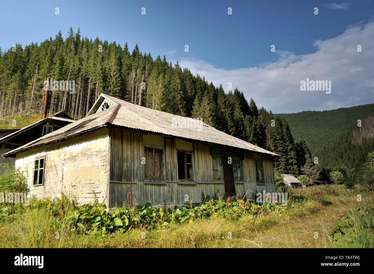 Viejas casas abandonadas en los oscuros bosques Fotografía de stock - Alamy