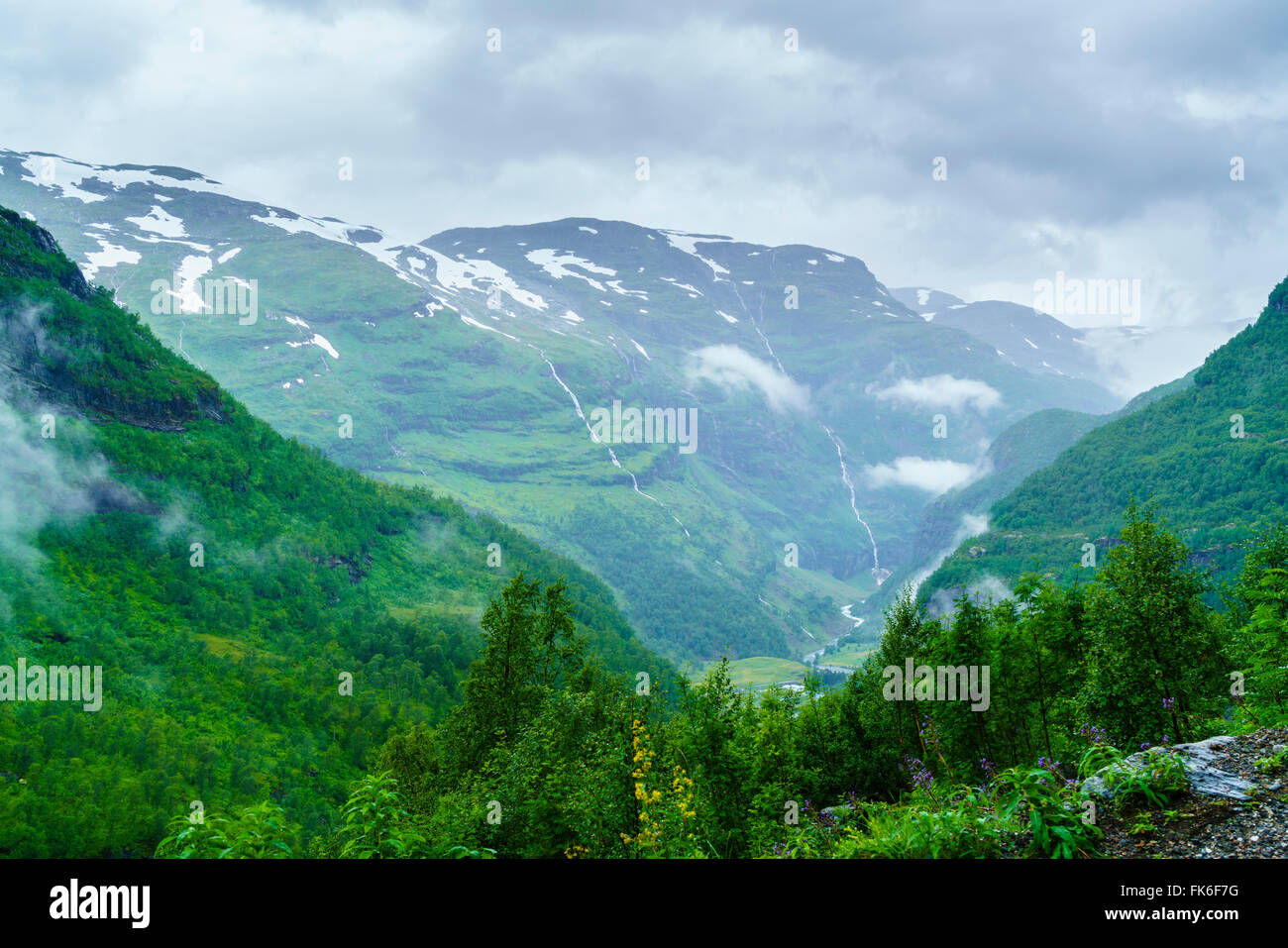 Una vista de las cascadas y el bosque de la Flam Railway, Flamsbana, Flam, Noruega, Escandinavia, Europa Foto de stock