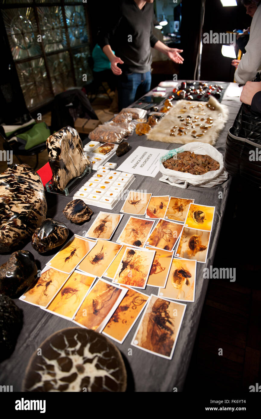 Fotos de insectos atrapados en ámbar y piedras preciosas tumbado sobre la mesa en la Expo 2016, y minerales de Varsovia el 5 de marzo, VI edición evento Foto de stock
