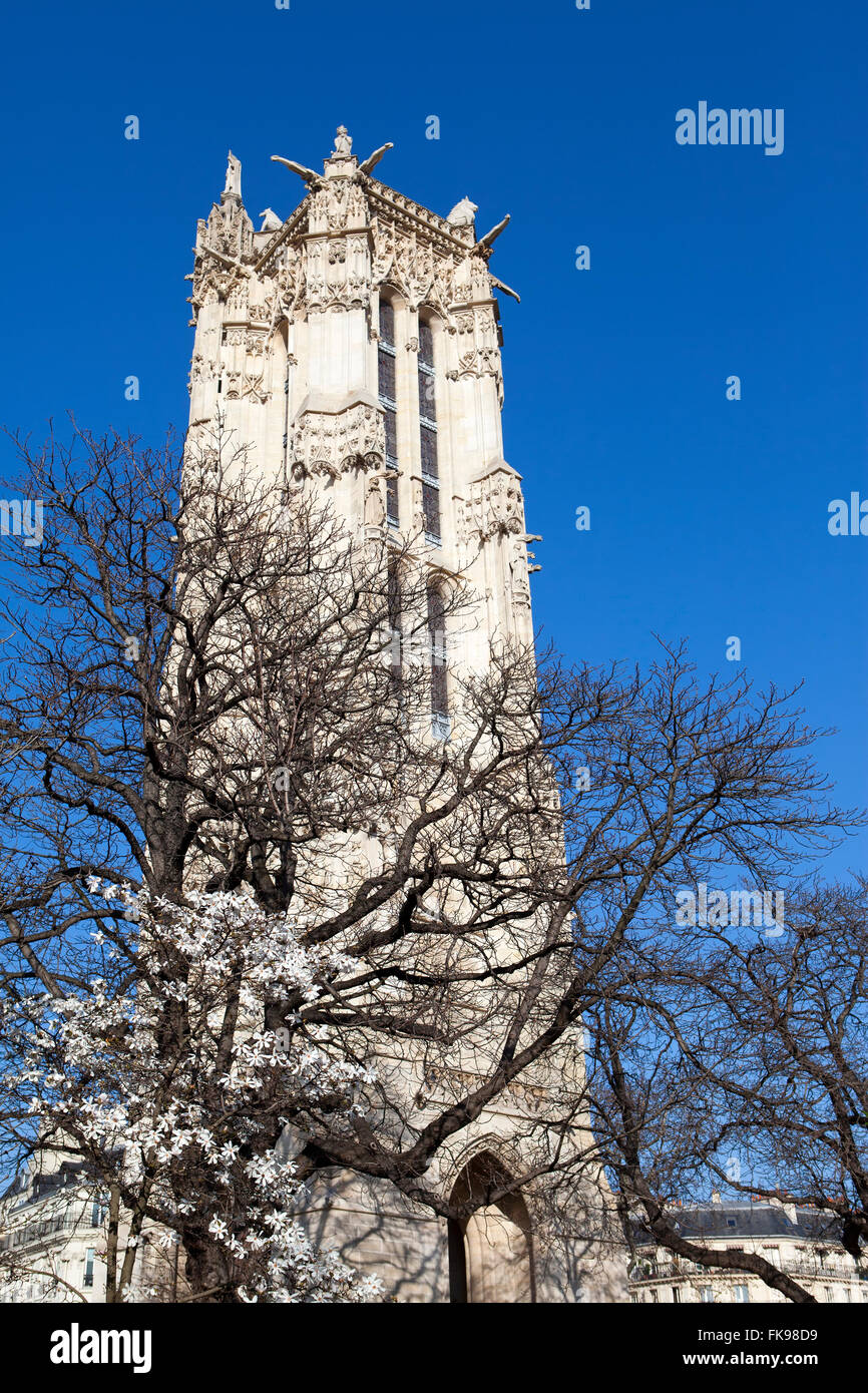 Torre Saint-Jacques en Rue de Rivoli en París, Francia Foto de stock