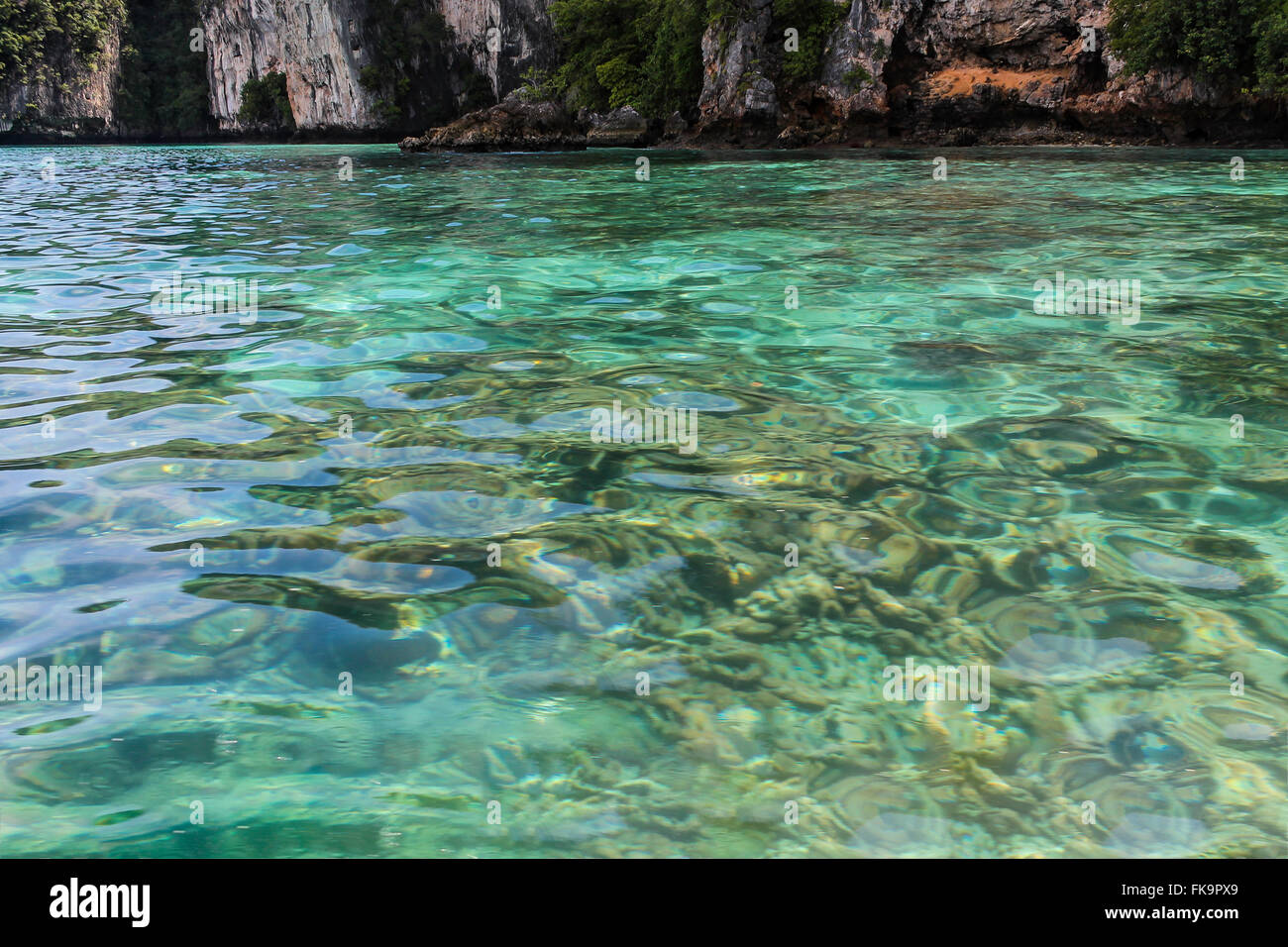 Laguna de cristal, el Phi Phi, Tailandia Foto de stock