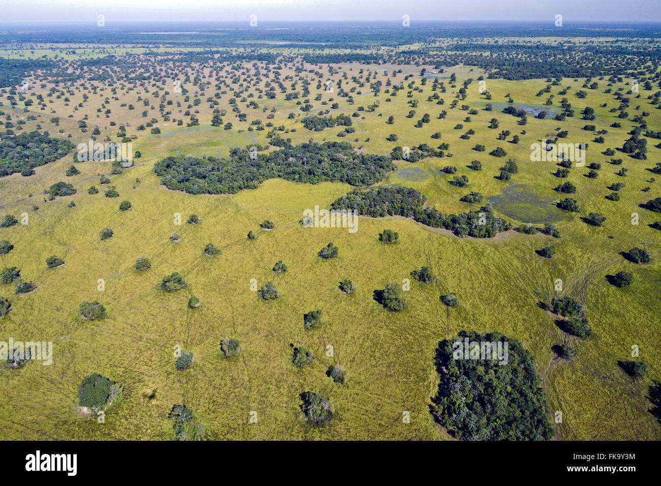 Vista aérea de la Región Pantanal Sur - Áreas de ligera elevación permanecer seco durante todo el año Foto de stock