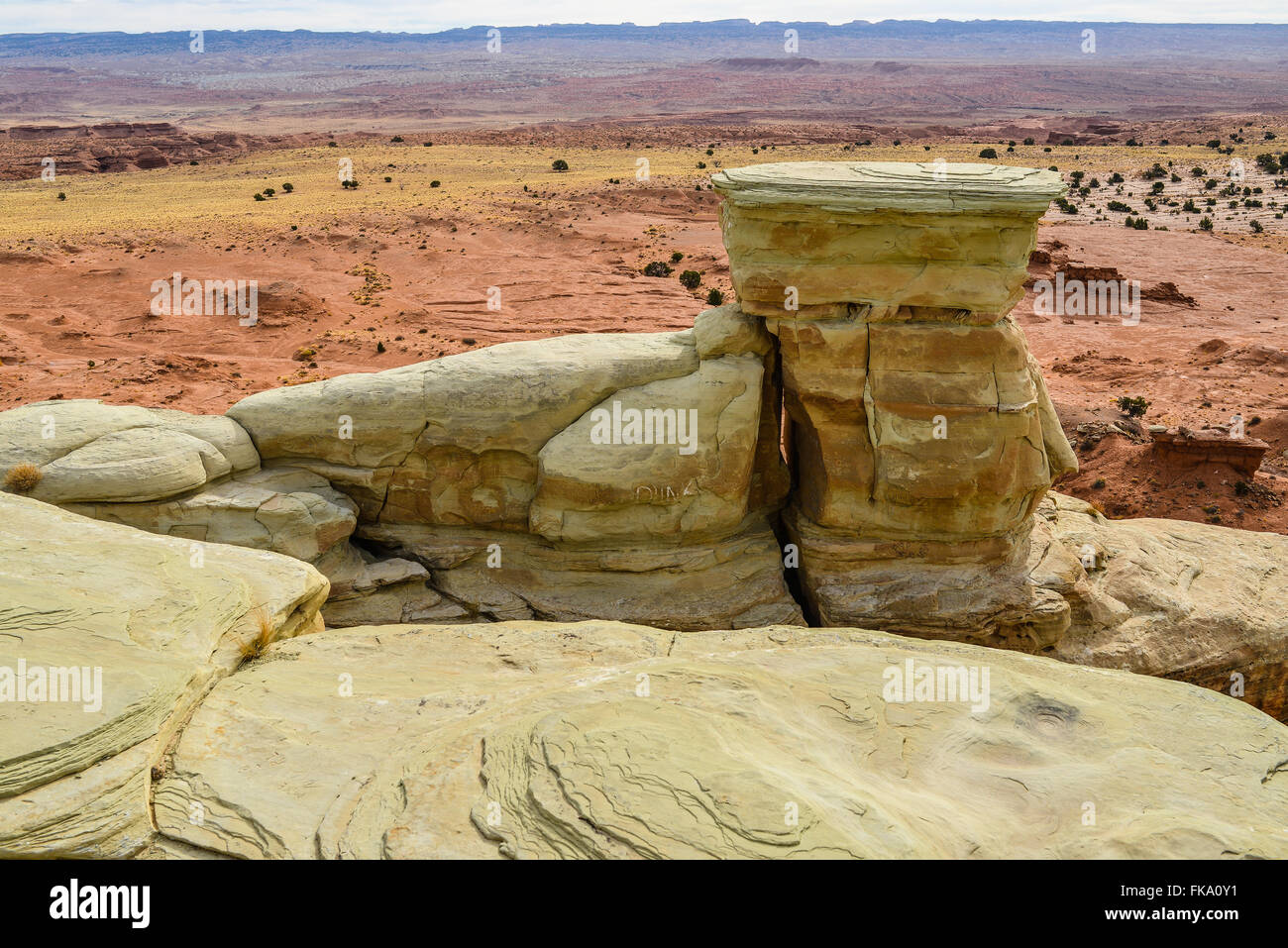 Formación de roca caliza sedimentaria, San Rafael Swell - Utah centromeridional Foto de stock