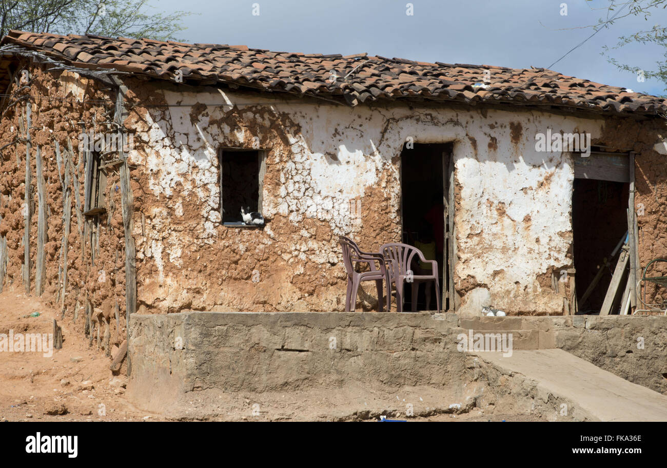 Casa de cob wall - vivienda típica de la sabana en Pernambuco backlands Foto de stock