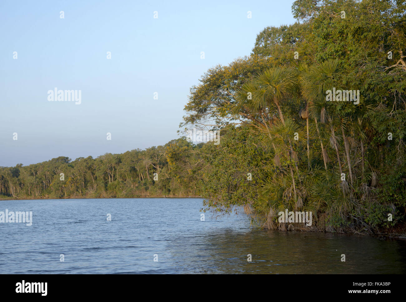 Lago ipa en el Parque Indígena Xingu Foto de stock