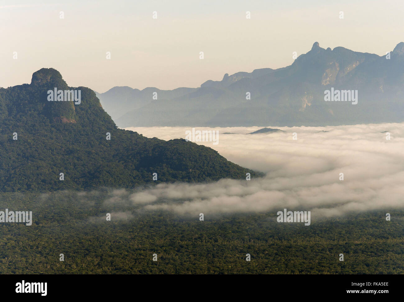 Las nubes bajas en la planicie costera de la Estación Ecológica de Jureia-Itatins Foto de stock