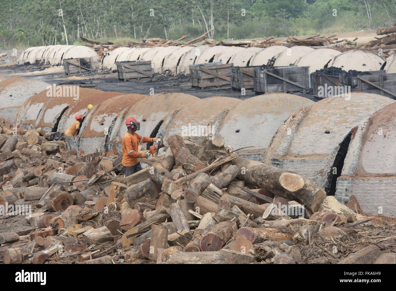 La producción de carbón de acero con astillas de madera manejo forestal Foto de stock