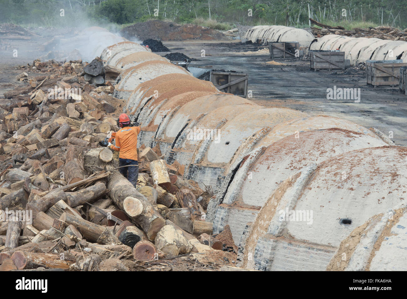 La producción de carbón de acero con astillas de madera manejo forestal Foto de stock