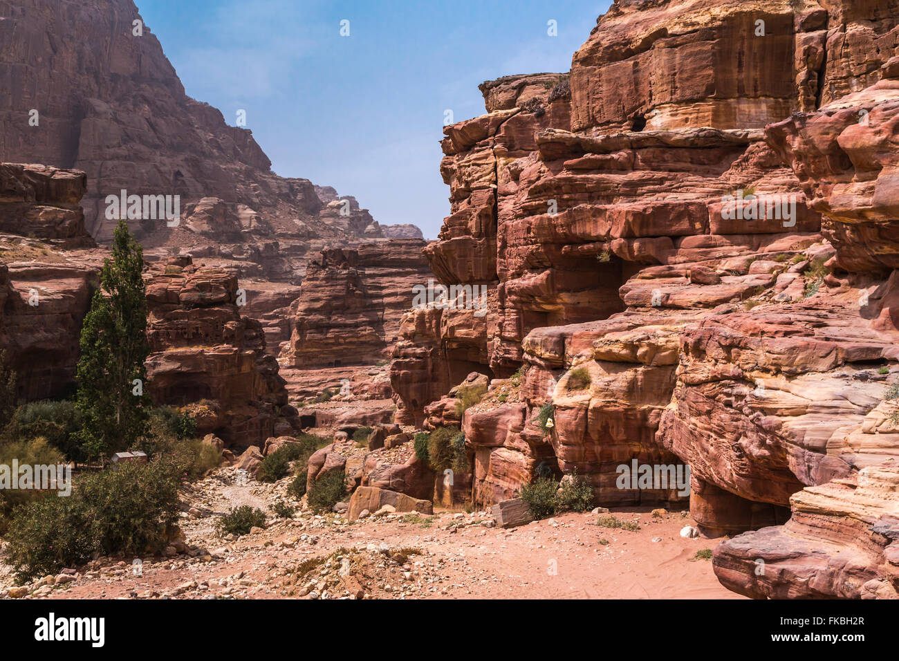 Formaciones de roca tallada en la roca roja ciudad de Petra, el Reino Hachemita de Jordania. Foto de stock