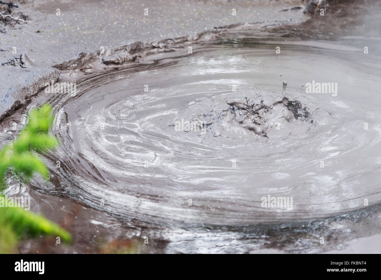 Detalle de la hirviente barro caliente en piscinas termales en Rotorua, Nueva Zelanda Foto de stock