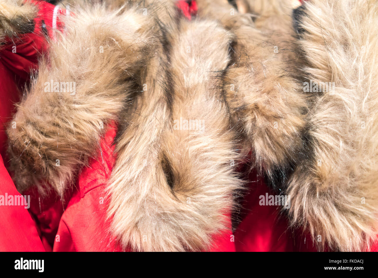 Los abrigos de pieles para la venta en la tienda de ropa Foto de stock