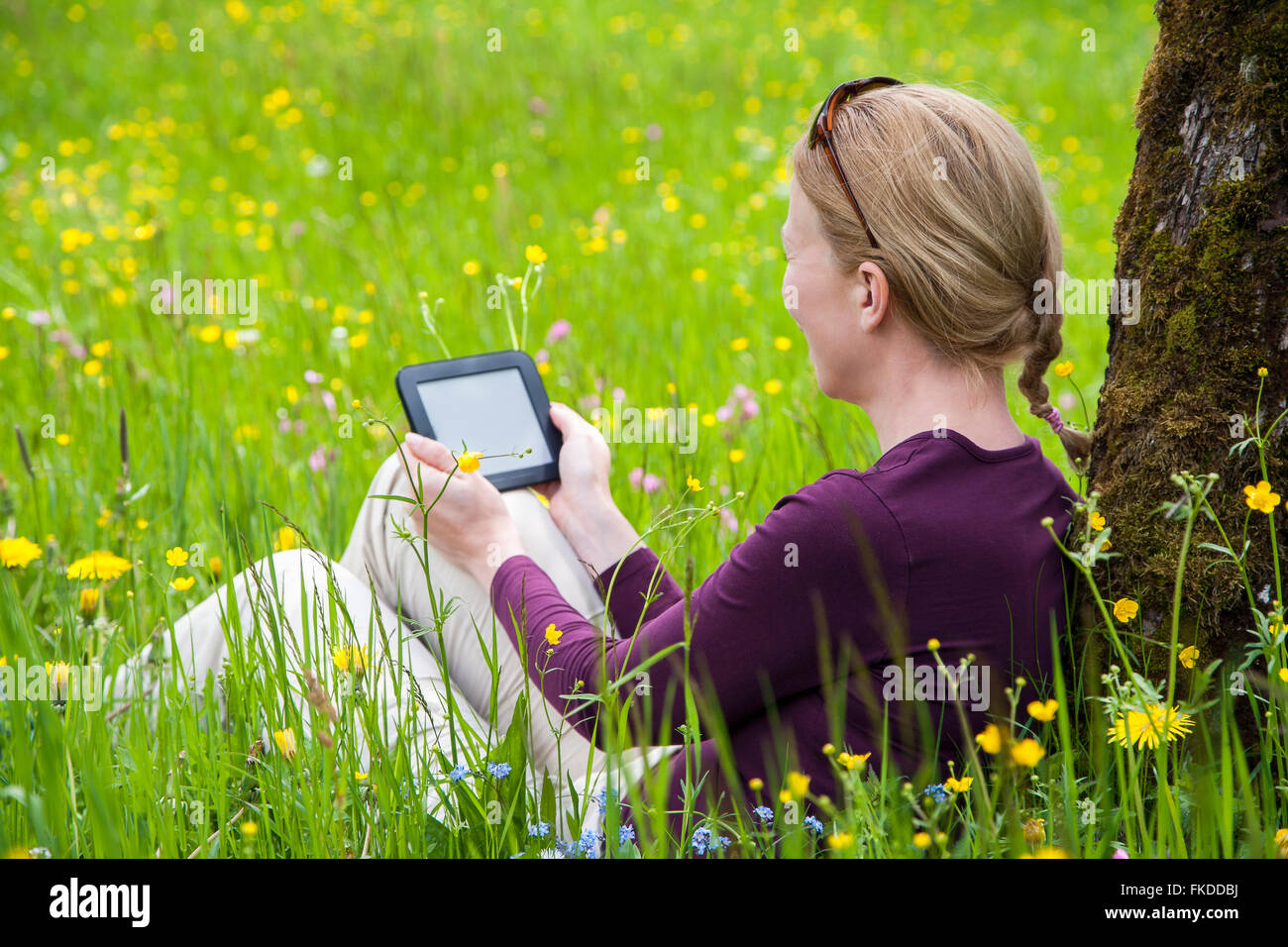 Mujer usando e-reader en la pradera Foto de stock