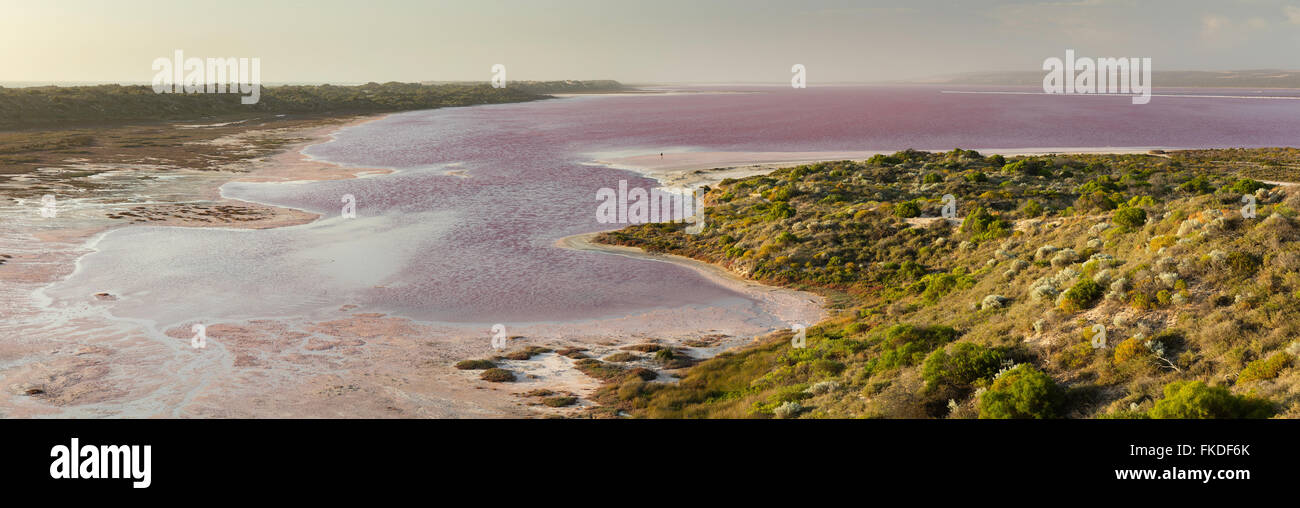 Wendy hollar audazmente a las orillas de la Laguna rosa Hutt en Puerto San Gregorio, en el oeste de Australia Foto de stock