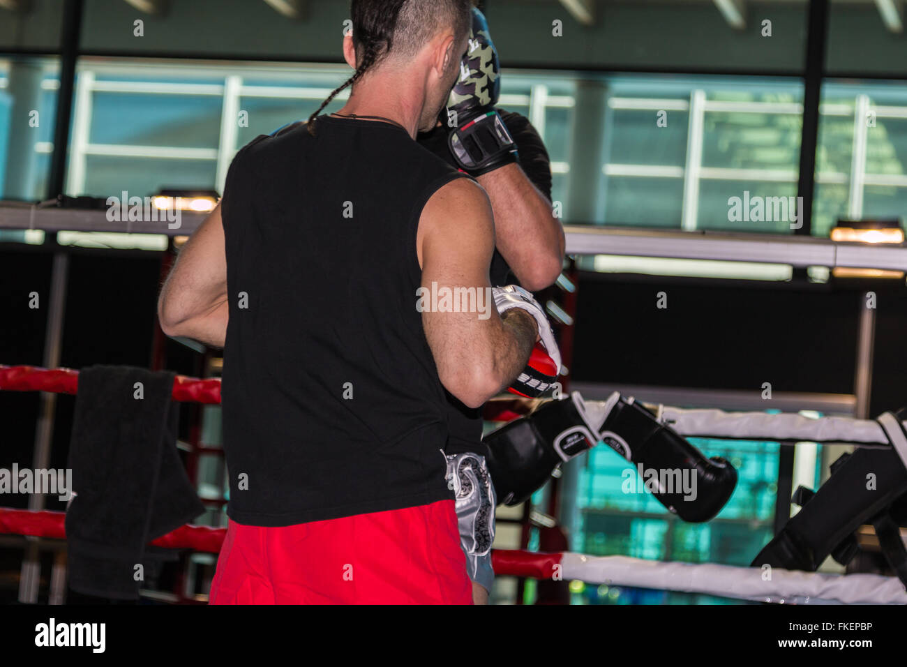 Boxer Hombre al boxeo en el cuadrilátero con Sparring Foto de stock