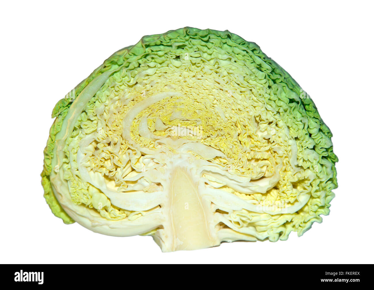 La mitad en rodajas ​​cabbage (Brassica oleracea) Foto de stock