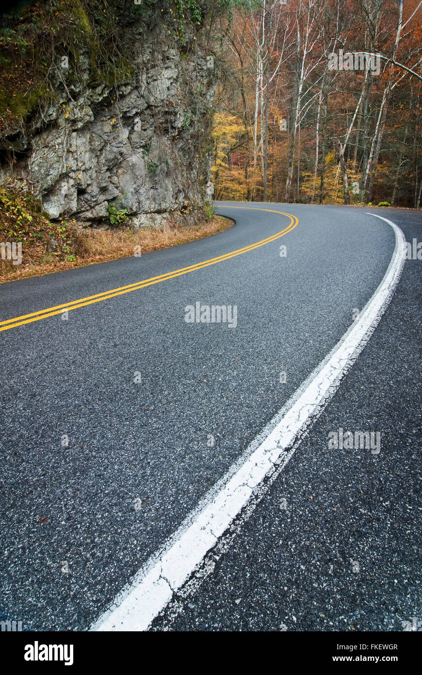 Smoky Mountain Road Curve Foto de stock