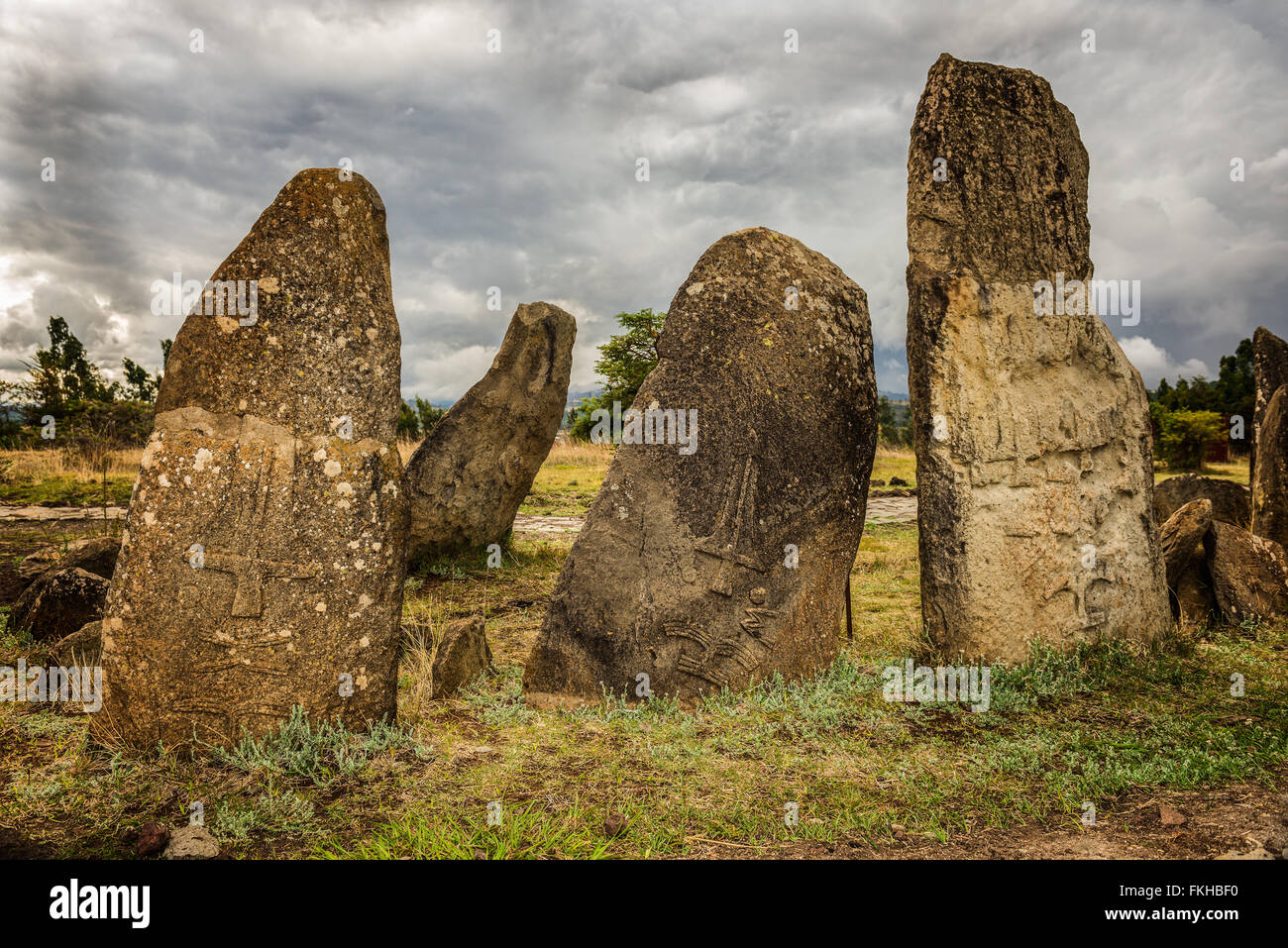Tiya megalíticos pilares de piedra, un sitio del Patrimonio Mundial de la UNESCO cerca de Addis Abbaba, Etiopía. Foto de stock