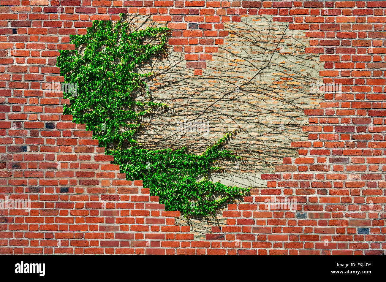 Forma de orificio corazón dentro de pared de ladrillo Fotografía de stock -  Alamy