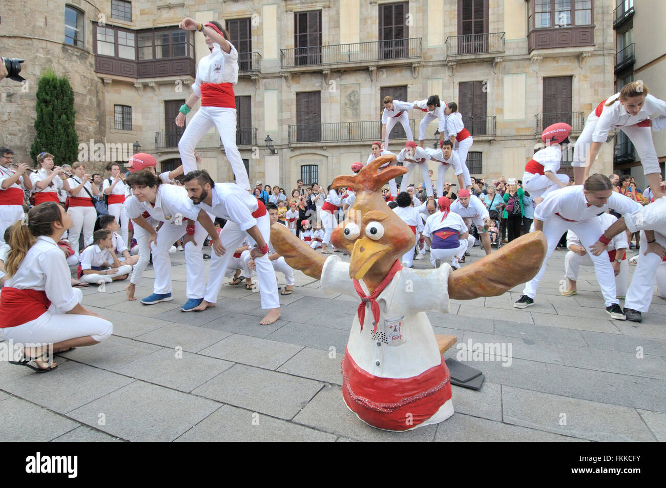 Grupo Halcones castellers, torres humanas tradicionales, Barcelona, Cataluña, España. Foto de stock