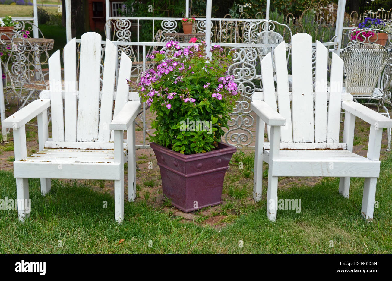 Dos viejas sillas de jardín de madera blanca en el patio de verano  Fotografía de stock - Alamy