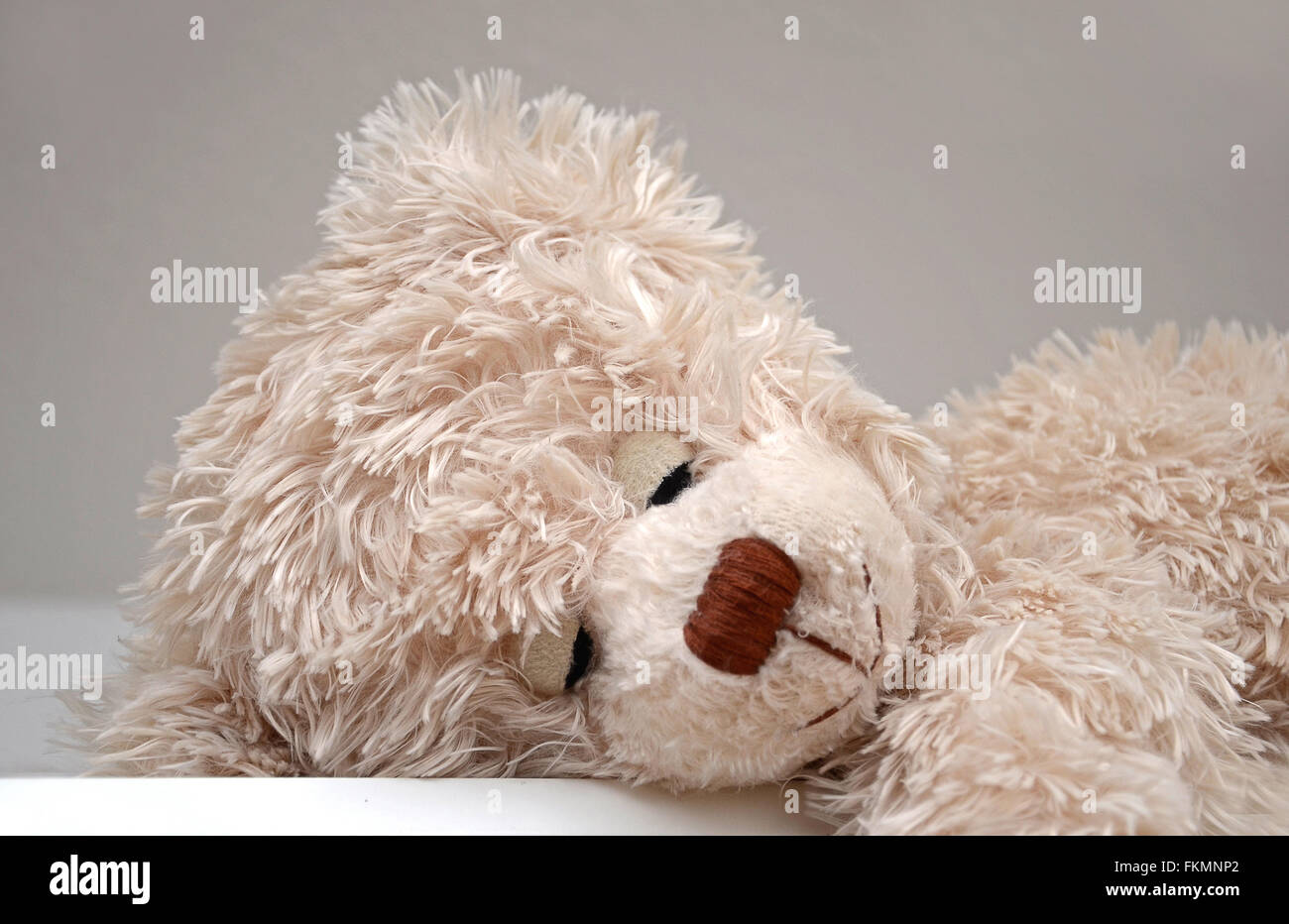 Oso de peluche para dormir fotografías e imágenes de alta resolución - Alamy