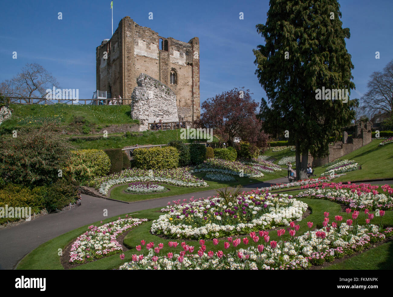 Mantener y terrenos del castillo de Guildford, Surrey, Inglaterra Foto de stock