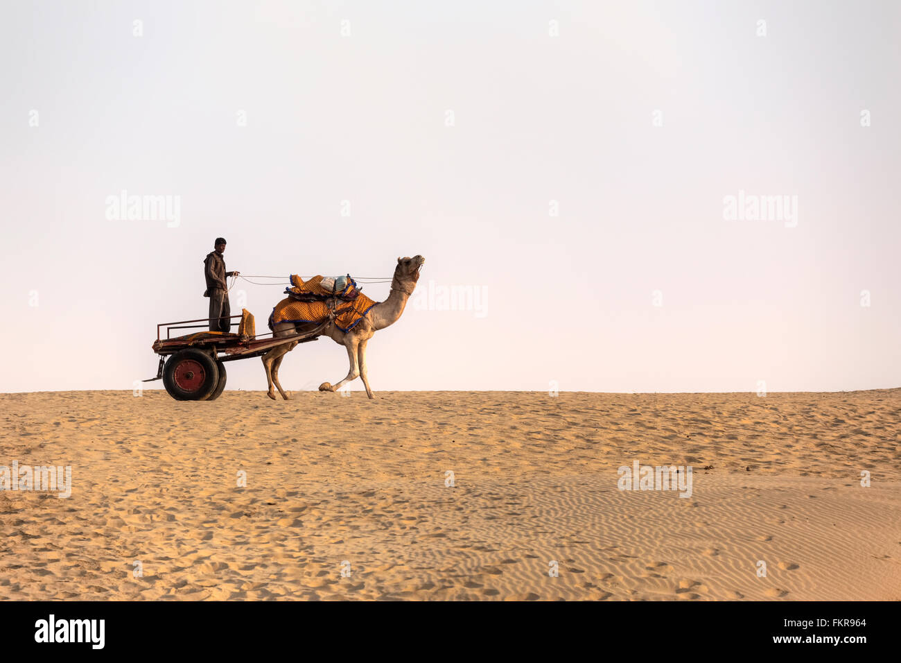 Carro de camellos en el desierto de Thar, Rajasthan, India Foto de stock