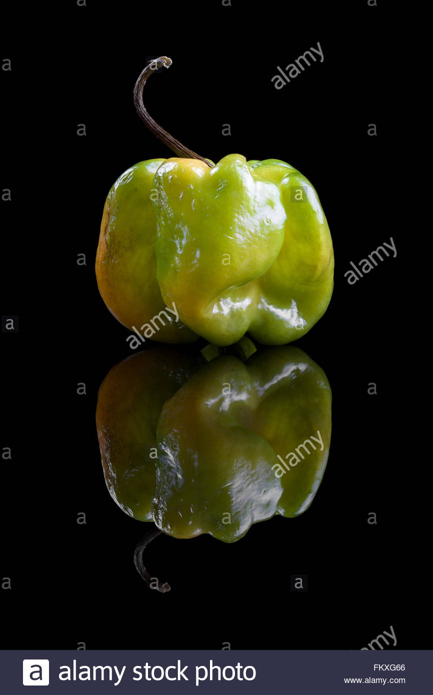 Capsicum chinense, el 'yellow lantern Chilli" o pimiento habanero, es