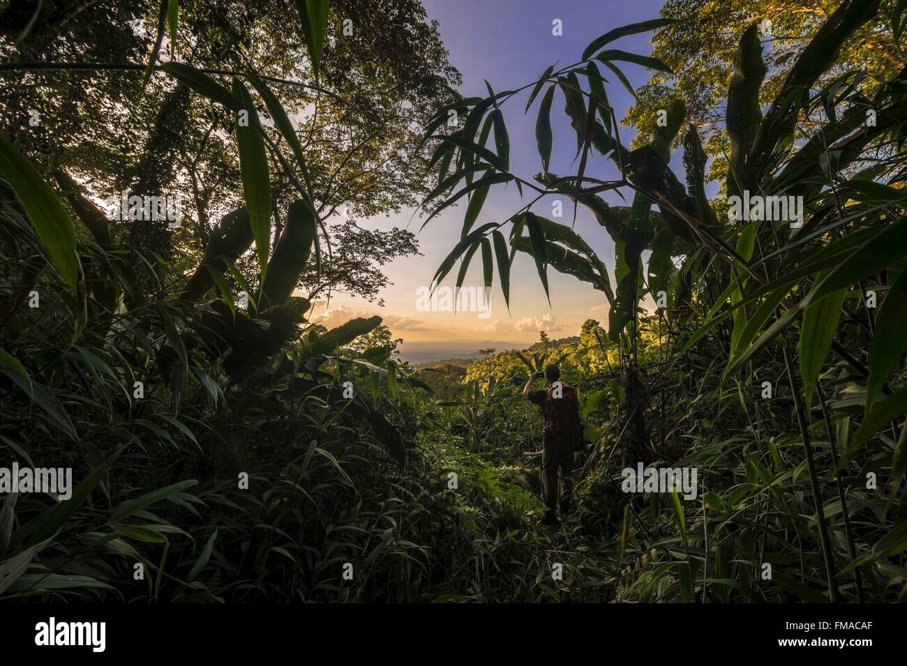 Francia, Guyana, Guyana Francesa Parque Amazónico, área cardiaca, Camopi, Monte Itoupé (830 m), la segunda cumbre de la Guyana Francesa, en Foto de stock