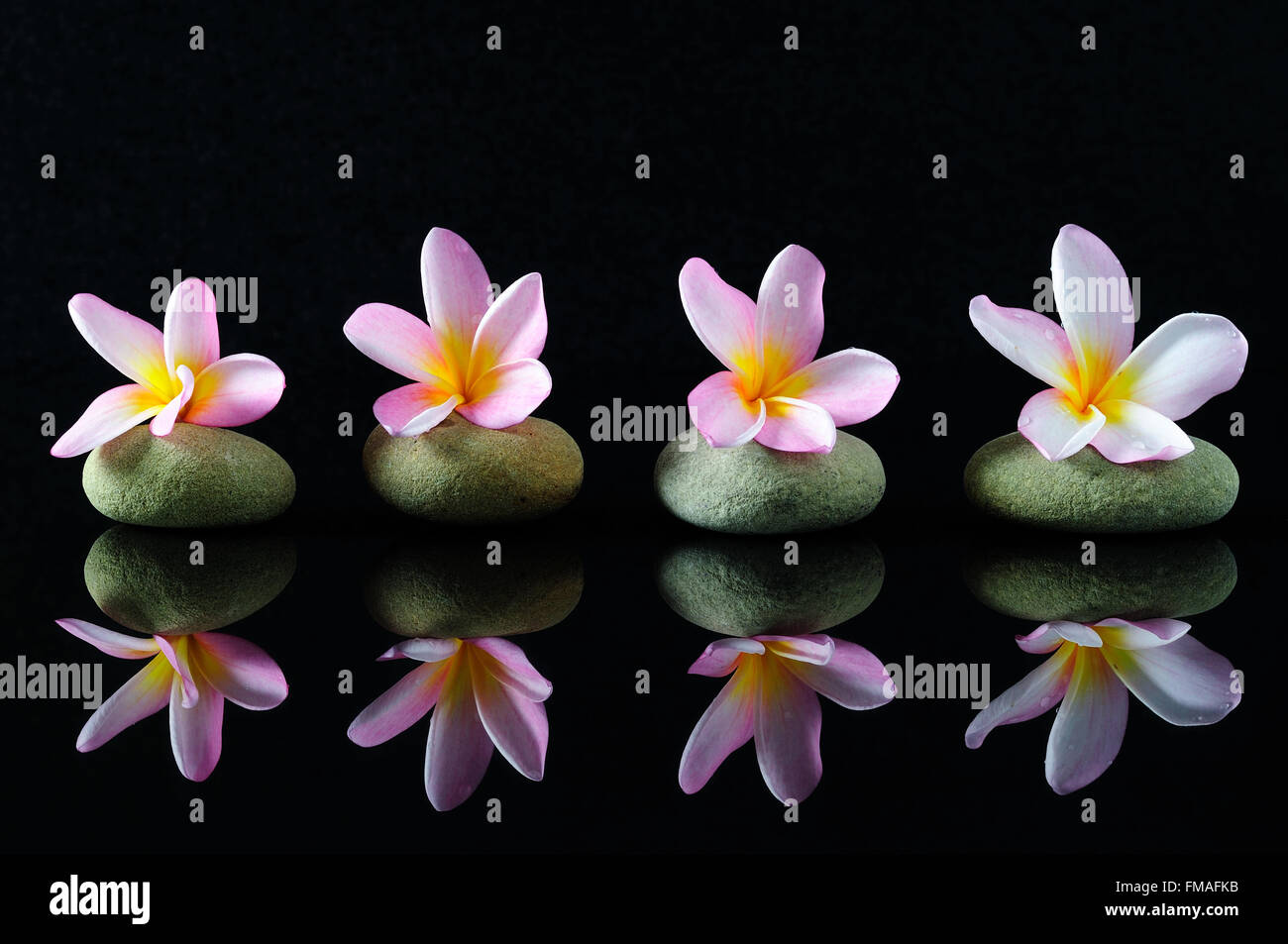 Spa, belleza y bienestar concepto - Frangipani flores en piedras zen con la reflexión, el fondo oscuro. Foto de stock