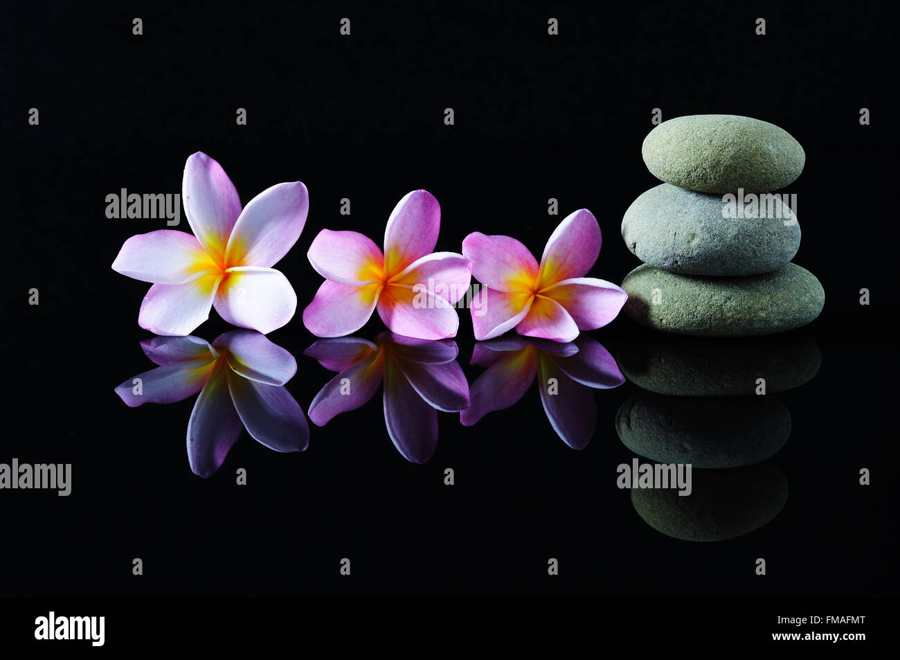 Spa, belleza y wellness - concepto Zen de piedras apiladas y frangipani flores y reflexión con fondo oscuro. Foto de stock