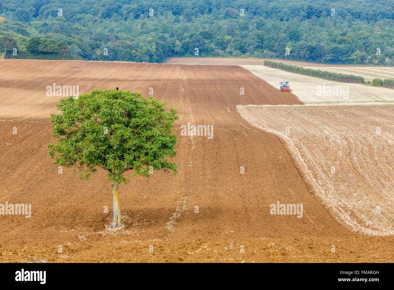 Francia, Nièvre, paisaje agrícola cerca de Clamecy Foto de stock
