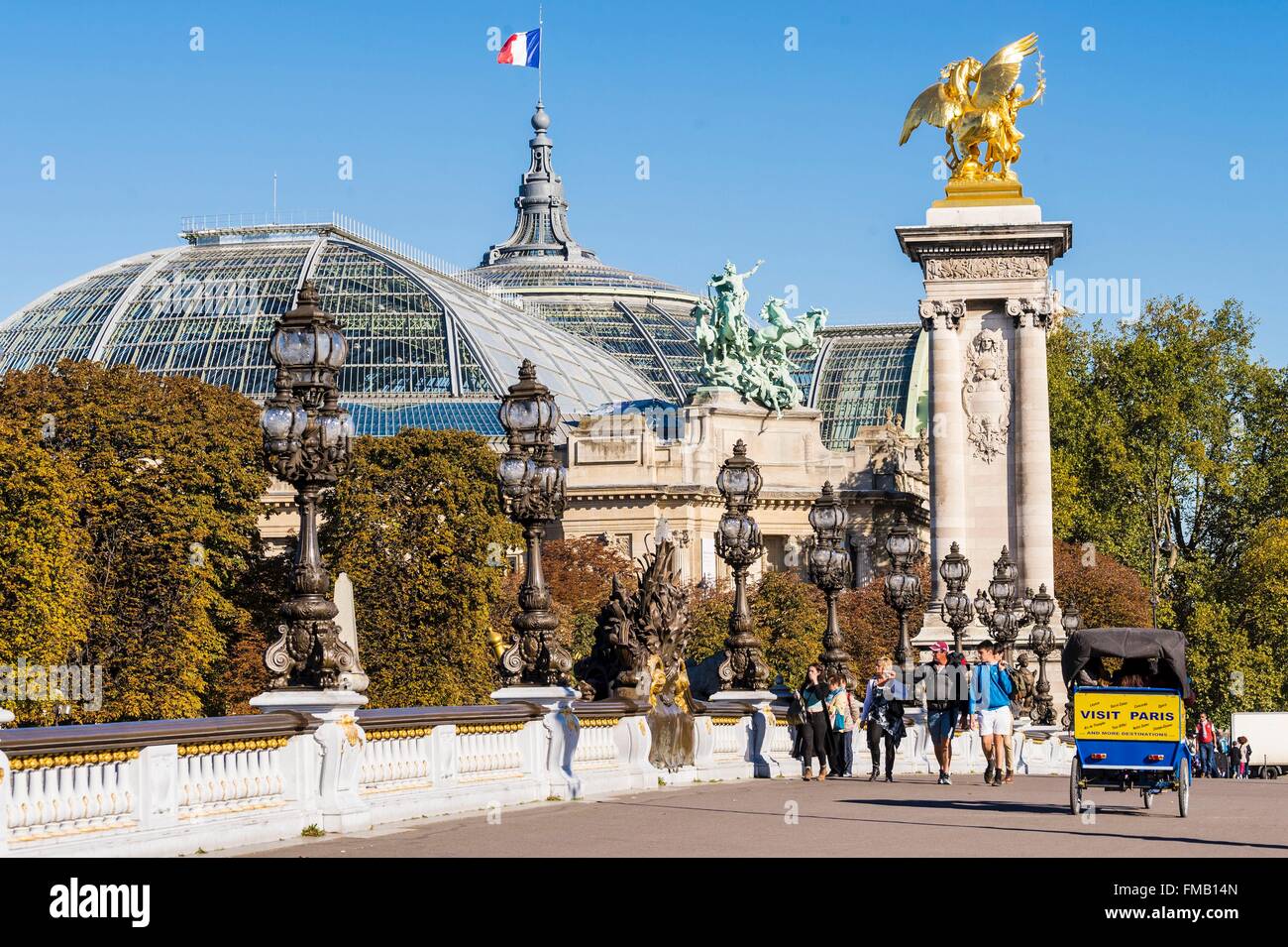 Francia, Paris, área listados como Patrimonio Mundial por la UNESCO, el Grand Palais y el puente Alexandre III (puente Alexander la tercera) Foto de stock