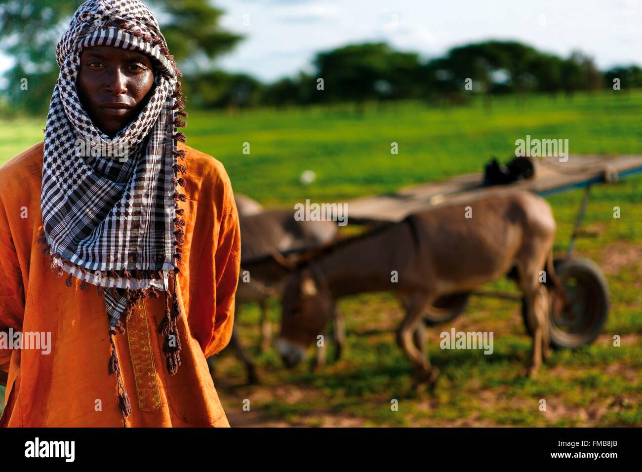 Senegal, Sahel, región, Widou Thiengoly Ferlo, Pastor con burro Foto de stock